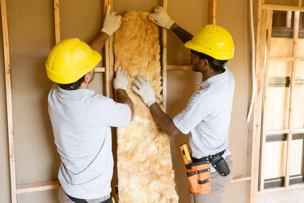 Eco-Friendly or Green Insulation Solutions in Holly Springs, MS